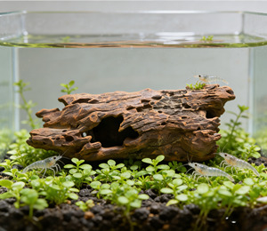 Reptielenhule van hars met waterbak en voederbak voor baardagamen, hagedissen, gekko's, heremietkreeften en terrariumdecoratie - Product Image 1