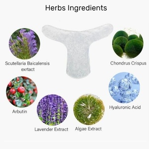 5 Pezzi Maschera Detox Yoni, Foglio Maschera per Sbiancamento e Nutrimento della Vulva, Essenza Vaginale Antibatterica, Maschera Delicata per la Zona Intima Femminile - Product Image 3