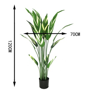 ต้นกล้วยเทียมสูง 100 ซม. พร้อมกระถาง - Product Image 3
