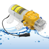 Pompe à eau auto-amorçante à diaphragme haute pression efficace 30W 12V/24V 4 bars personnalisable OEM