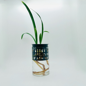 Wadah tanam bulat <span class=keywords><strong>PVC</strong></span> plastik penstabil akar, dengan desain lipat kapasitas beban lebih dari 10kg - Product Image 6