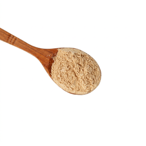 Protéine Isolée de Riz Brun Premium Clean Label FitTree International pour la Nutrition Sportive et les Formulations de Compléments Végétaliens - Product Image 1