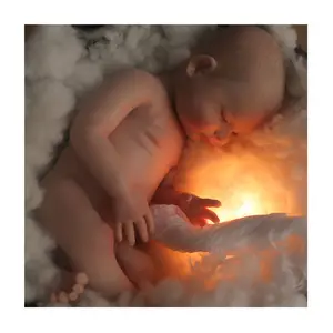 Lifereborn Puppe echte lebensechte neugeborene Silikon puppe Ganzkörper Silikon echte Berührung wieder geborene Puppen