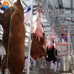 Equipo de Matadero de Ganado de Acero Inoxidable en Oferta, Línea Completa de Procesamiento de Carne Halal para Plantas de Procesamiento de Carne de Res - Product Image 2