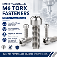 Baut Presisi dari Paduan Titanium Kelas 5 M6 Torx Square Drive dengan Panjang Kustom 10-80mm untuk Aplikasi Kendaraan.
