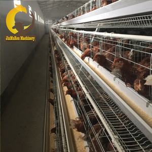 Jinmuren H tipi katman tavuk kafesi pil tavuk kafesi kümes hayvanları çiftlik <span class=keywords><strong>30</strong></span> 000 tavuk projesi - Product Image 2