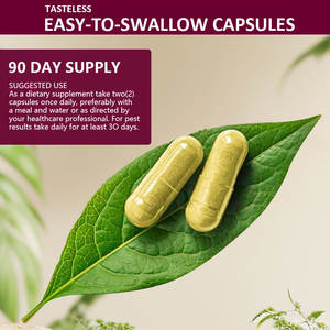 Premium Custom 1650MG Uposomal Vitamin C Cápsulas vegetales Promueven la función cerebral y Cognitior 180 Caps - Product Image 4