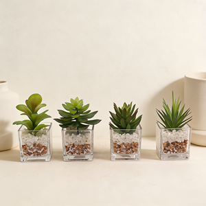 Set di 4 <span class=keywords><strong>Piante</strong></span> Succulente Artificiali di Alta Qualità in Vasi di Vetro, Piccole <span class=keywords><strong>Piante</strong></span> Finte per Decorazione Finestre - Product Image 2