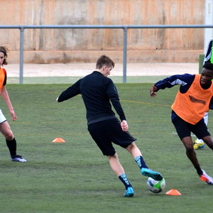 Fournitures d'entraînement professionnelles 2026 : Cônes de football et disques de haute qualité à prix abordable – Divers produits d'entraînement sportif - Product Image 1