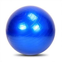 Ballon de yoga en PVC de 55 cm - Anti-explosion, épaissi, pour le soutien du dos, l'exercice, la danse et le fitness