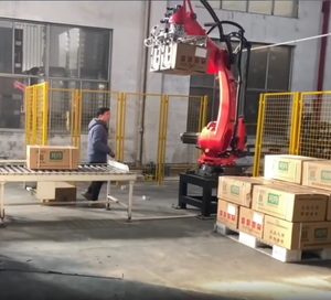 Nouveau bras robotisé quadri-axes Borunte BRTIRPZ3030B, 300 kg, 2950 mm, IP40, capacité 12 kg, répétabilité 0,2 mm, entraînement servo-électrique, 380 V, garantie 1 an - Product Image 5