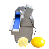Sus304 Groenten Snijden Stam Groente Aardappel Ui Aubergine Lotus Wortelsnijder Groente Fruit Snijden Shredder Machine
