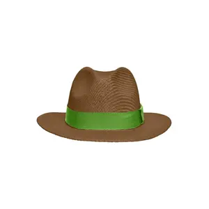 Sombrero de Viajero Estilo Panamá, Mercancía de Verano - Product Image 3