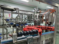 Solution clé en main pour la remplisseuse automatique de boissons énergisantes gazeuses en bouteilles PET, ligne de remplissage de sodas et de boissons gazeuses