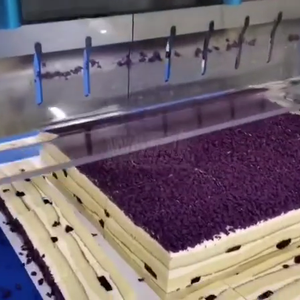 Procesador Ultrasónico de Alimentos Lácteos y Snacks para la Industria Alimentaria, Máquina Cortadora de Pastel Cuadrado de Alta Calidad Wanlisonic - Product Image 4