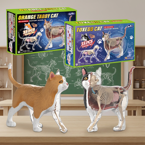 <span class=keywords><strong>Kit</strong></span> professionnel de biologie féline avec organes amovibles – Outil d'apprentissage de la zoologie, coffret de ressources vétérinaires robuste pour la découverte sur le bureau - Product Image 1
