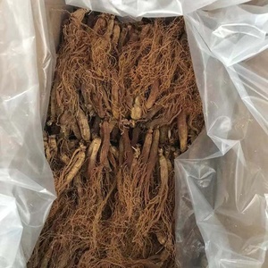 Сухой корень красного женьшеня, полный Корень красного женьшеня - Product Image 2