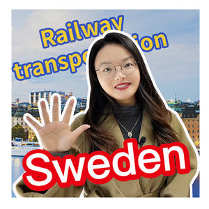 सस्ते अंतरराष्ट्रीय समुद्र हवा शिपिंग मूल्य स्वीडन में घन मीटर शिपिंग रेलवे फ्रेट कंपनियों - Product Image 6