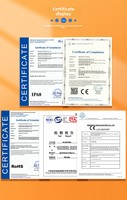 Connecteur Y étanche IP68, répartiteur de câble 1 vers 2, boîtier de jonction, 5 bornes à vis, presse-étuques, 32A 450V, extérieur, sous-marin, laiton