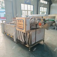 Équipement de Blanchiment Industriel Automatique : Machine à Blanchir Continue pour Choux, Feuilles, Maïs, Champignons, Légumes et Pommes de Terre