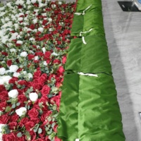 Toile de fond blanche et verte en soie de luxe faite à la main DKB avec fleurs artificielles pour la décoration de scène de mariage