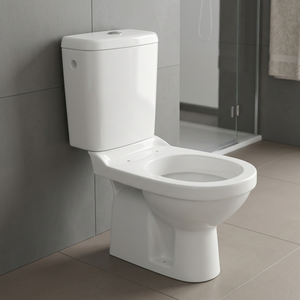 โถสุขภัณฑ์เซรามิคแบบสองชิ้น ระบบ Washdown พร้อมท่อน้ำทิ้งแบบ P-Trap สำหรับห้องน้ำ ขายส่ง - Product Image 6