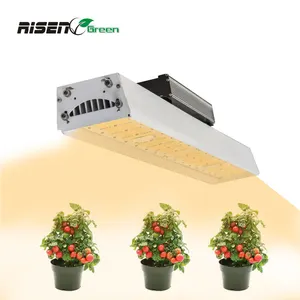 RISEN - أضواء زراعية مضيئة لزيادة النمو، 1000 وات، أضواء زراعية مضيئة، أضواء زراعية مضيئة للزراعة، أضواء منزلية مضيئة عالية 1000 وات للمورد الصيني