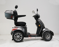 Tricycle électrique à 3 roues pour adultes, scooter à roues larges, tricycle électrique avec siège arrière