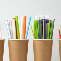 Pailles Jetables Personnalisées en Papier PLA Biodégradables, Lot Complet de 100 Pièces, pour Boissons, Jus, Café et Thé