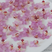 Kepala Anggrek Resin Asli, Bunga Alami Warna Pink, Bunga Resin untuk Anting, Perlengkapan Kerajinan DIY untuk Perhiasan Anting Kalung