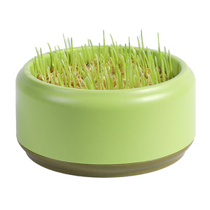 Maceta de diseño original para hierba gatera, caja de cultivo hidropónico para hierba gatera, semillas de hierba gatera, remedio para bolas de pelo de gato, fábrica de artículos para mascotas - Product Image 5