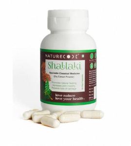 Cápsulas de Polvo de Shallaki Natural para Apoyo a la Desintoxicación, Cápsulas de Shallaki Herbales para Energía Diaria, Precio de Oferta por Exportador - Product Image 4