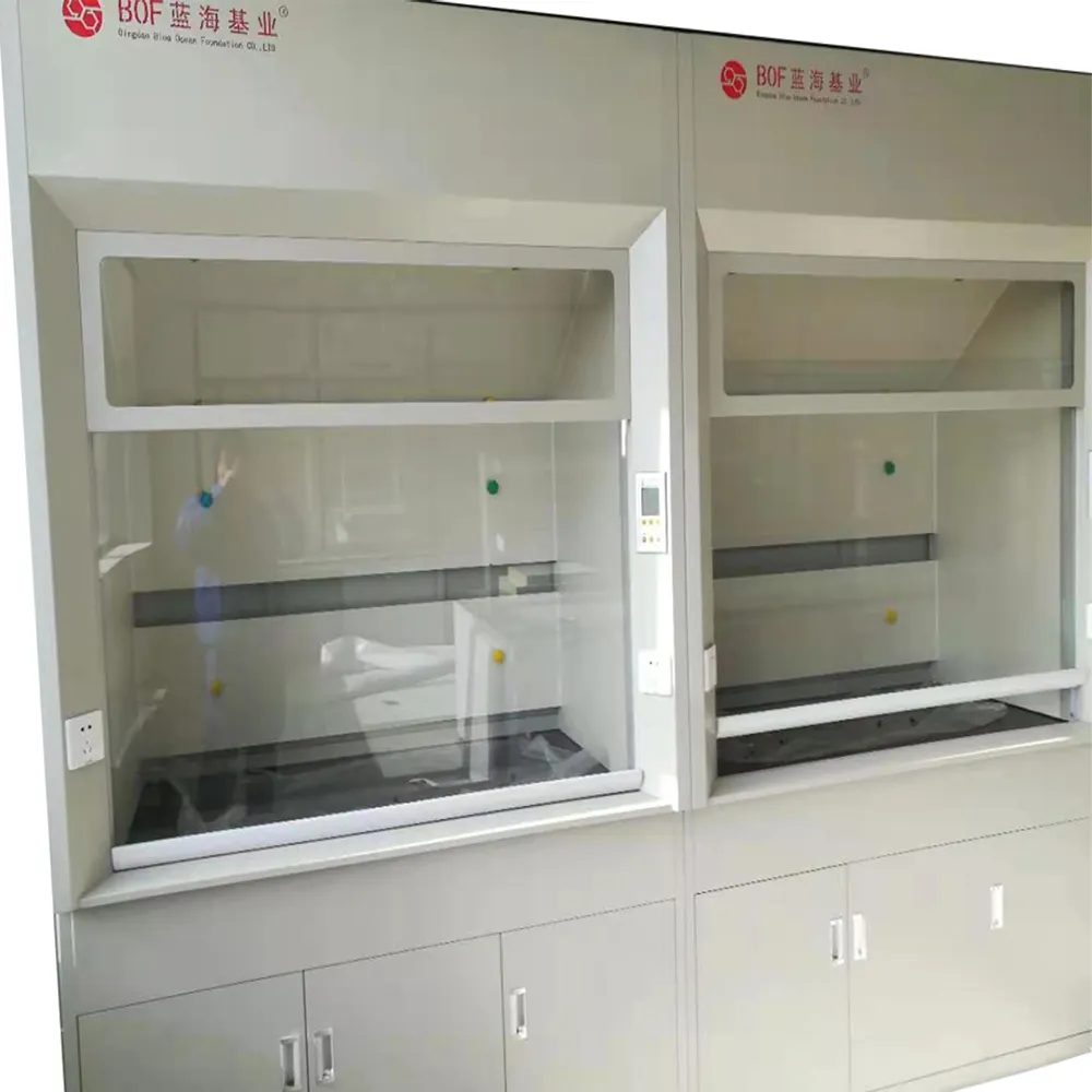 Qingdao peut personnaliser toute la structure en acier résistant aux acides forts et aux alcalis Acide perchlorique hotte de laboratoire meubles