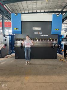 Pressa Piegatrice Idraulica CNC 250T con Morsetto Rapido per Lamiera d'Acciaio con Controller DA53T - Product Image 5