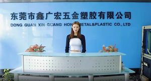 Matriz de Estampación de Una Sola Etapa de Precisión, Molde Progresivo de Metal para Herramientas de Acero, Punzón - Product Image 4