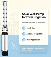 Pompe submersible solaire AC à grand débit de 6 pouces pour puits profond, pompe à eau de forage à haute pression pour l'extraction d'eau agricole