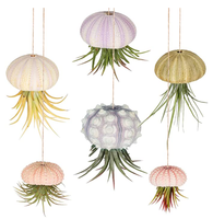 Coquilles d'ormeaux écologiques en matériau organique, style amour, échantillon gratuit pour la décoration intérieure et les cadeaux