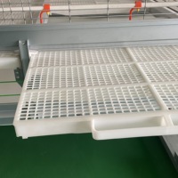 Plancher à lamelles blanc en plastique stable pour cages à poulets de chair automatiques