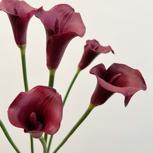 Fleurs artificielles au toucher réel en PU Calla, arrangement floral pour la maison et les mariages - Product Image 1