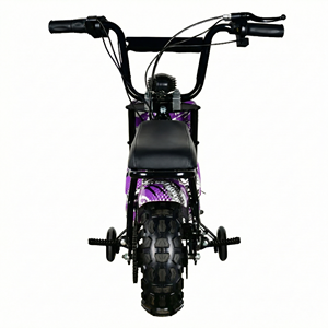 Mini Moto Électrique MAXSPEED 250DH Pas Chère en Gros, Moteur à Balais 500W, Batterie Plomb-Acide 36V 12Ah, Démarrage Facile, <span class=keywords><strong>Pocket</strong></span> <span class=keywords><strong>Bike</strong></span> - Product Image 3