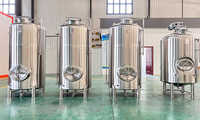 Meilleure vente Kombucha Machine de production 500 litres 1000L 5.5bbl Petite ligne de production de bière Micro équipement de brasserie de brassage