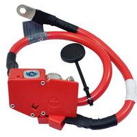 Câble de batterie positif 61129259425 61126834543 pour BMW F31 3.0L 4.4L 2012-2017