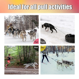 Sled Racing Pro-Chaleco <span class=keywords><strong>de</strong></span> Husky para entrenamiento <span class=keywords><strong>de</strong></span> perros, arnés <span class=keywords><strong>de</strong></span> patinetes, sin Choke - Product Image 6