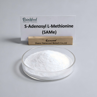 Rainwood S-Adenosil-L-Metionina SAMe en Polvo, Suministro OEM a Granel, Materia Prima para Suplementos Dietéticos, CAS 29908-03-0