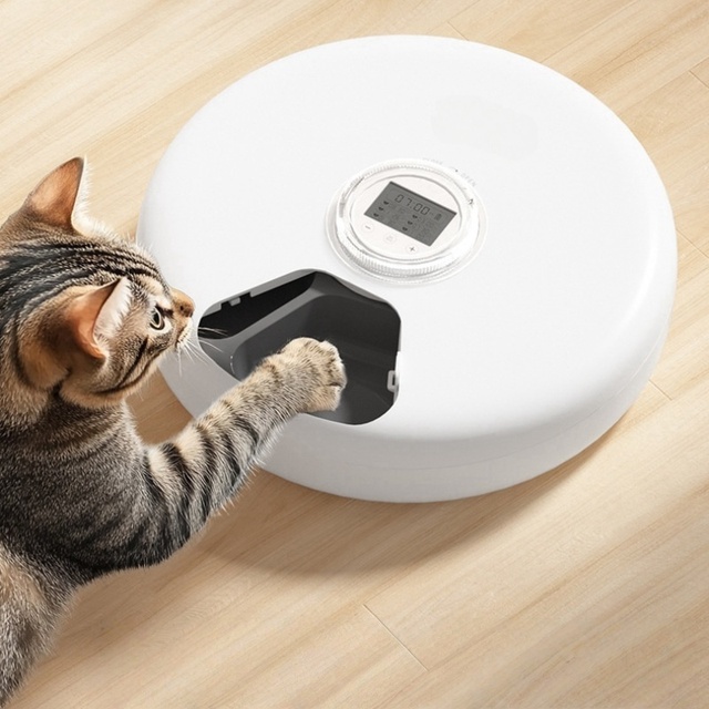 New Arrival Eco-Friendly Smart Pet 6-Meal Timed Feeder Automatic Dog/Cat Battery-Powered Bowl