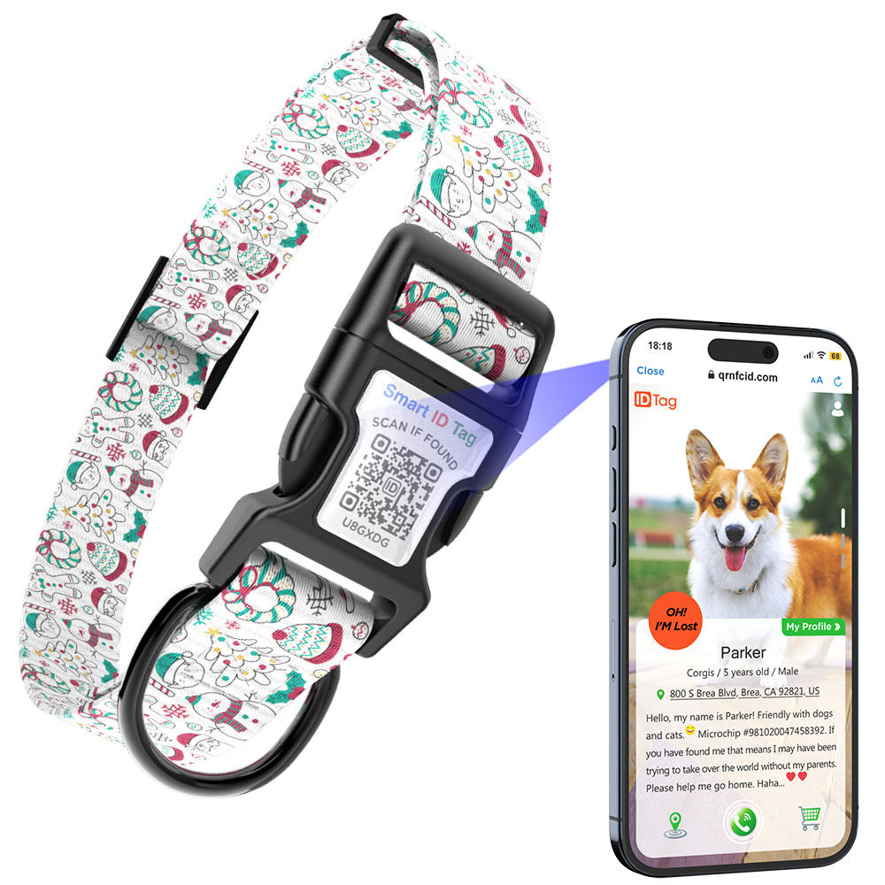 Patrón 2 con software