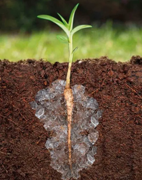 Cheap Price High Water Absorbent Polymer Potassium Polyacrylate Sap Hydrogel for Vegetable and Fruit Trees