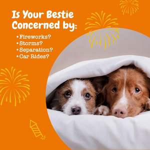 Zesty Paws 120 Capsule Calmanti Softgel con Semi di Canapa per Cani, Trattamento per Ansia da Separazione - Biologico ad Alto Contenuto Proteico - Product Image 6