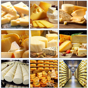 Machine à fabriquer du <span class=keywords><strong>fromage</strong></span> <span class=keywords><strong>feta</strong></span> HNOC, équipement de fabrication du <span class=keywords><strong>fromage</strong></span> mozzarella, machine à cuire et à étirer le mozzarella - Product Image 6
