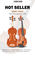 Violon artisanal HV04D avec logo personnalisé d'usine - Instruments à cordes professionnels conçus sur mesure en gros